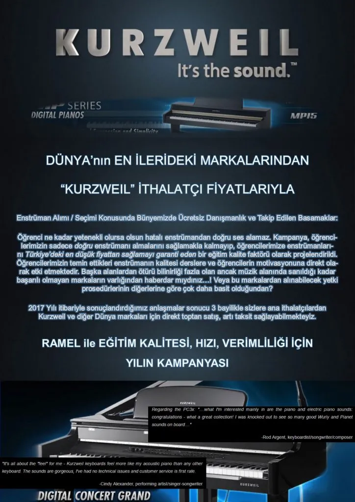 Kurzweil Whole Brain